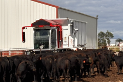 Screenshot-2025-06-13-at-9.28.49-AM